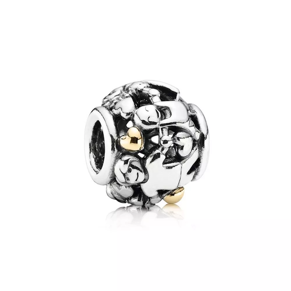 pandora charm canım ailem 791040