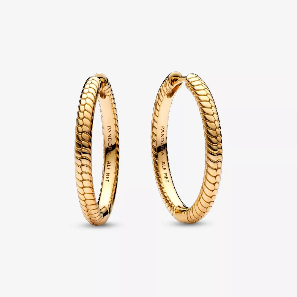 pandora moments charm hoop küpe 269532c00