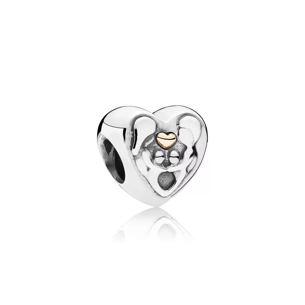 pandora charm ailenin kalbi 791771