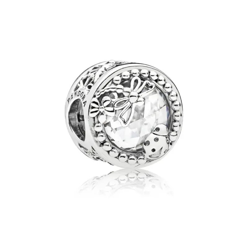 PANDORA BÜYÜLÜ DOĞA ÇERÇEVESİ - 797047CZ - Ürün Resmi